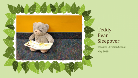 Teddy Bear Sleepover